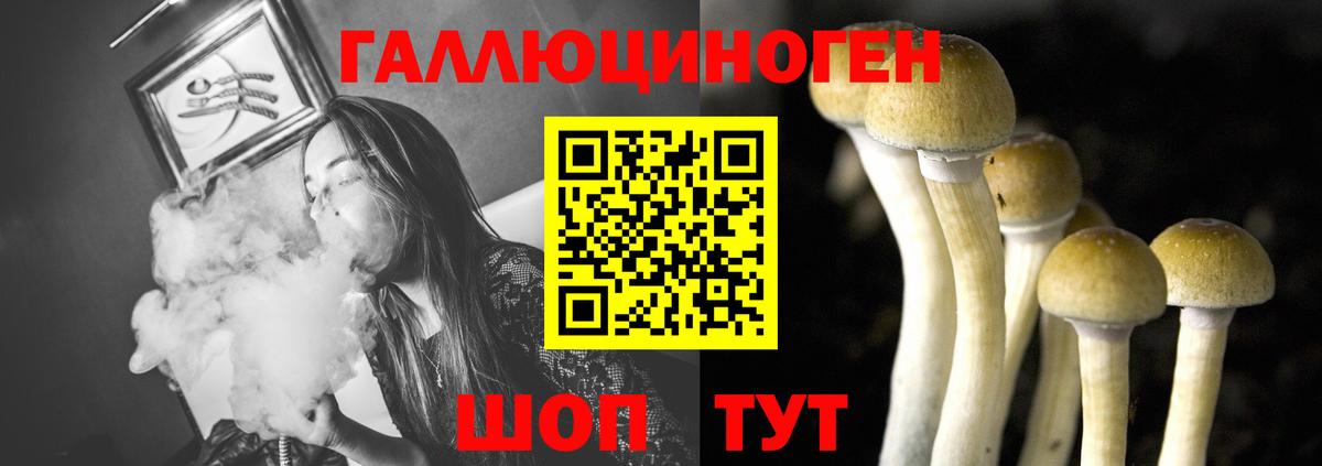 Псилоцибиновые грибы Cubensis  Псилоцибиновые грибы ЛСД  Вход с VPN  Вязьма 